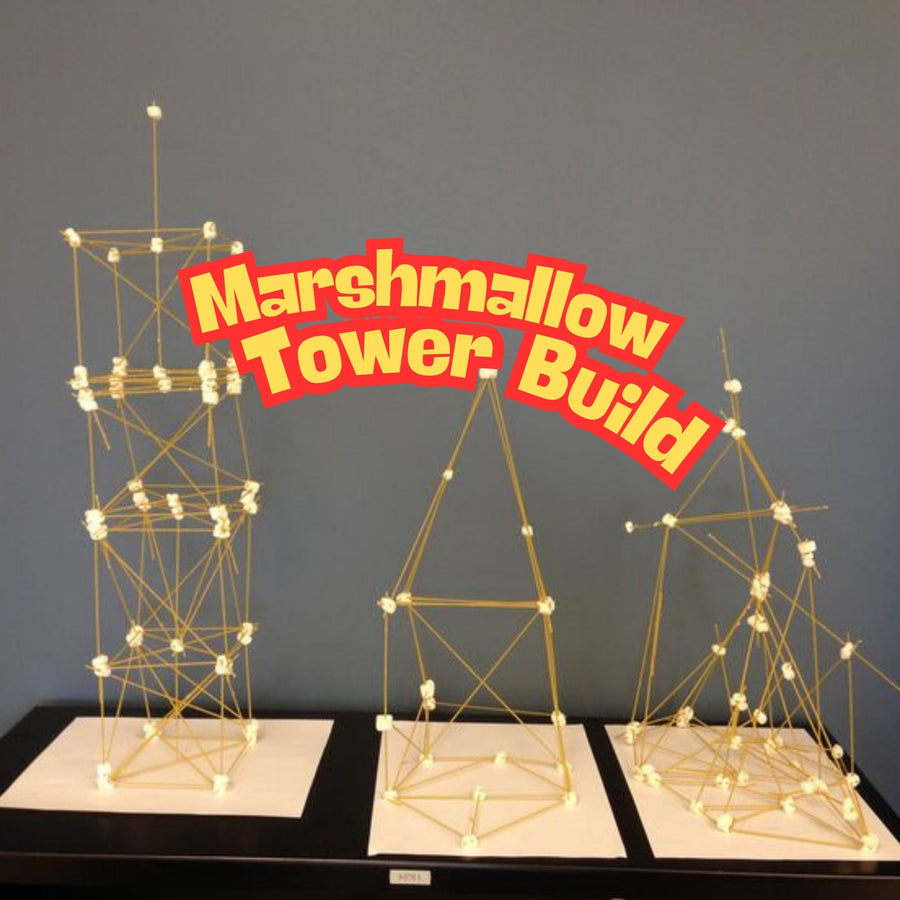 Marshmallow Tower experiential activity